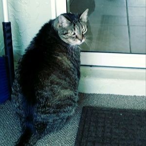 Meet your Posher, Florence